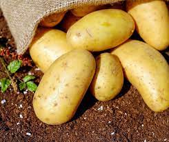 Kocham ziemniaki